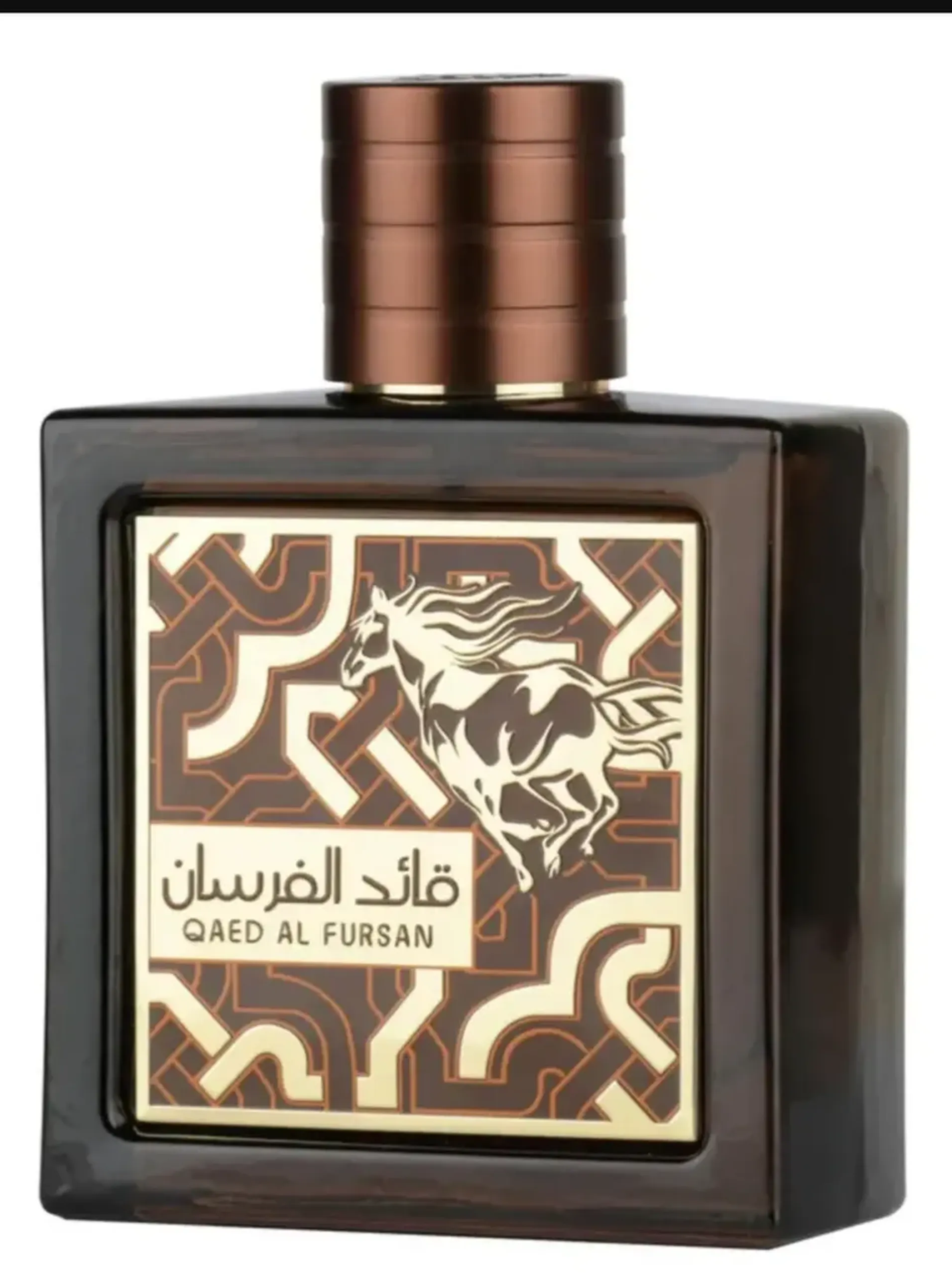 Qaed Al Fursan Untamed